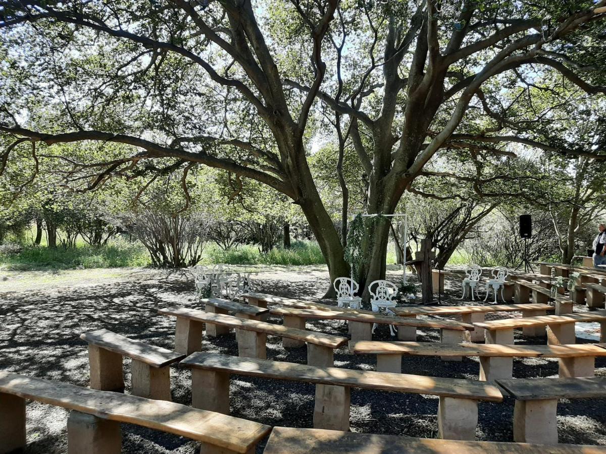 Imla Guest Farm Hotel Ficksburg Bagian luar foto